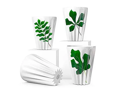 hagedornhagen – Folium mug
